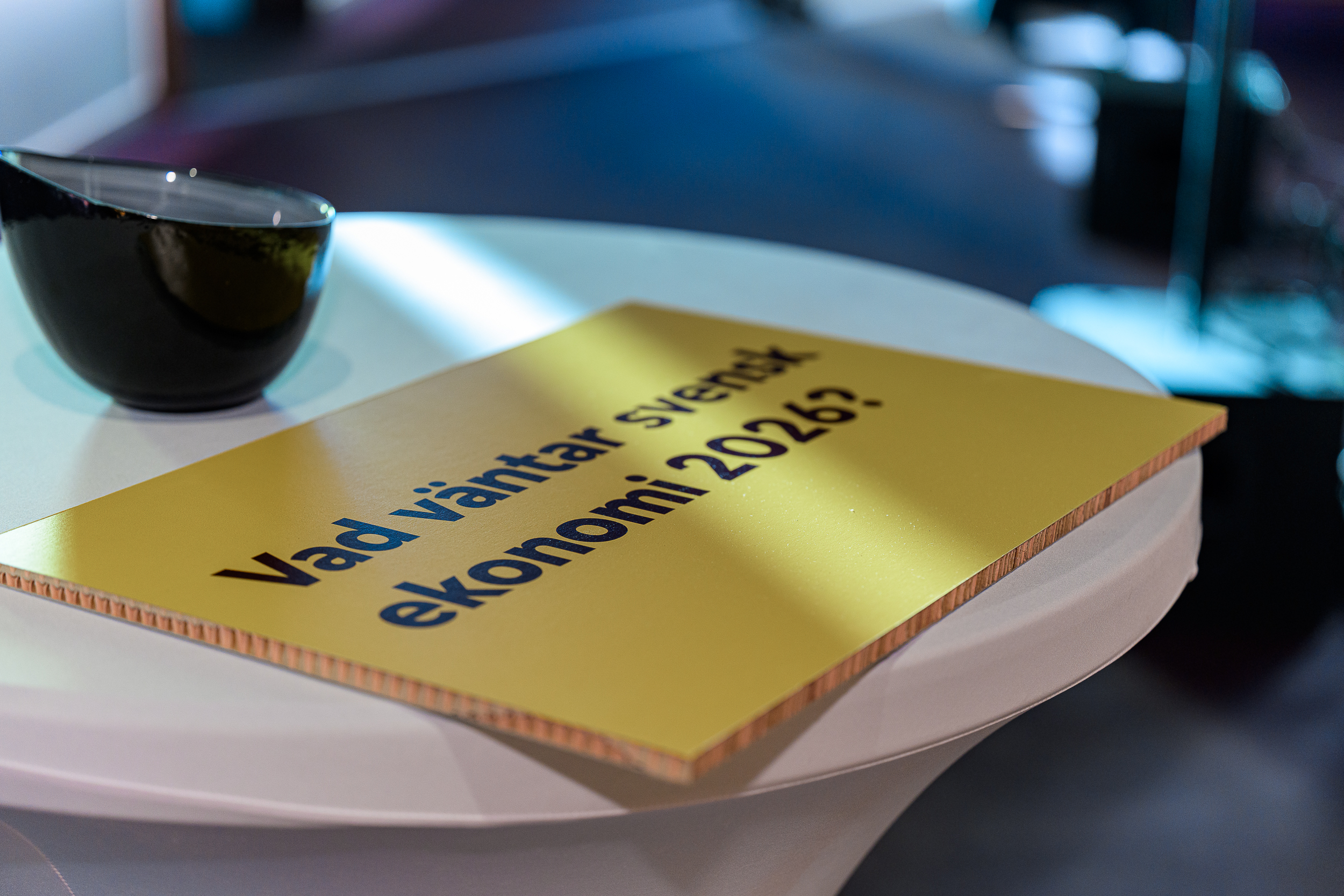 Framtidsdagen_25-446